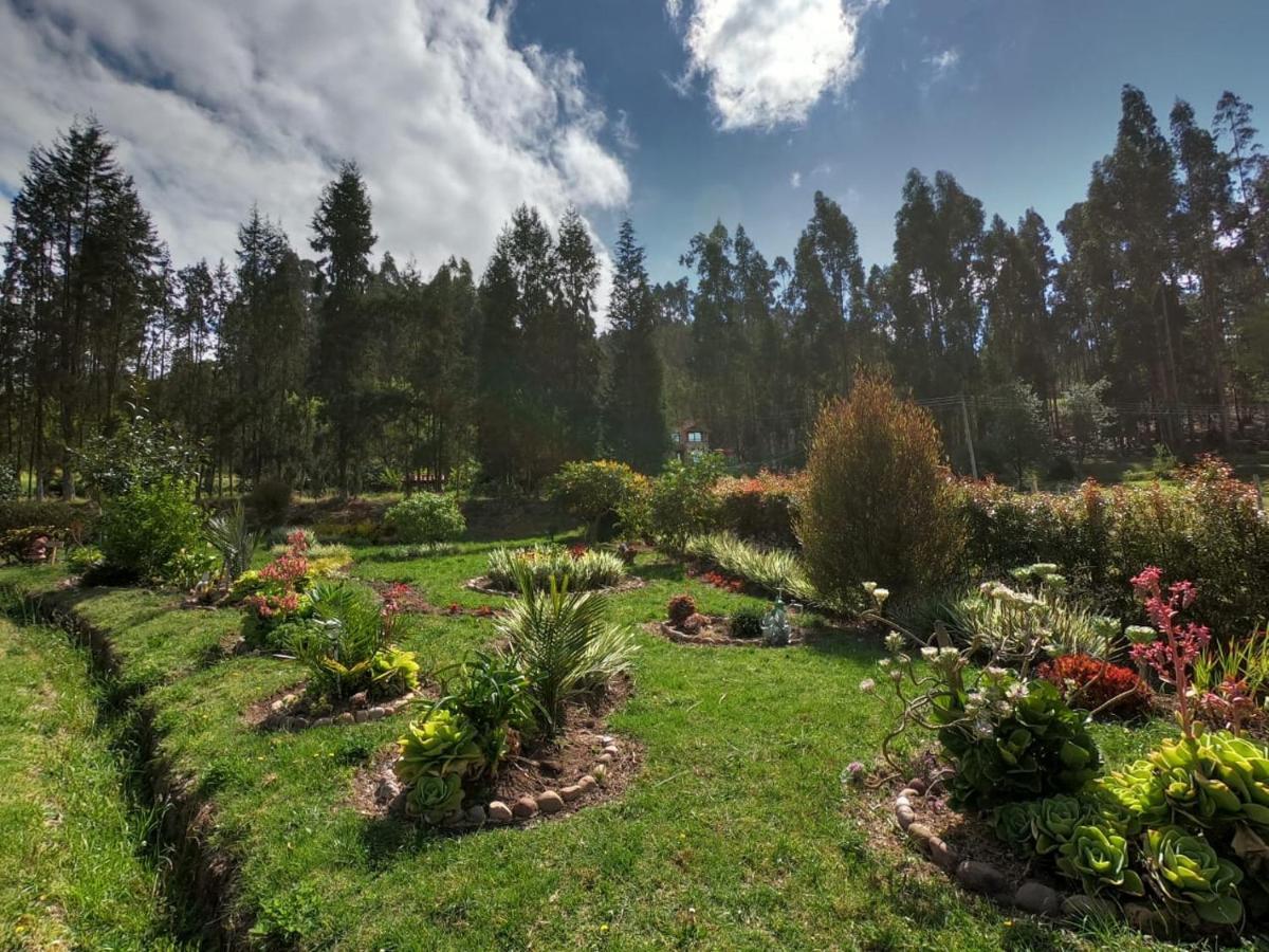 Villa Libelula Cabana- Alojamiento Rural Duitama Exterior foto